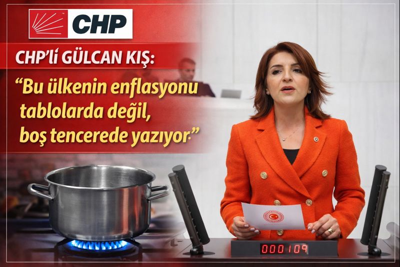 gülcan kış, chp, enflasyon
