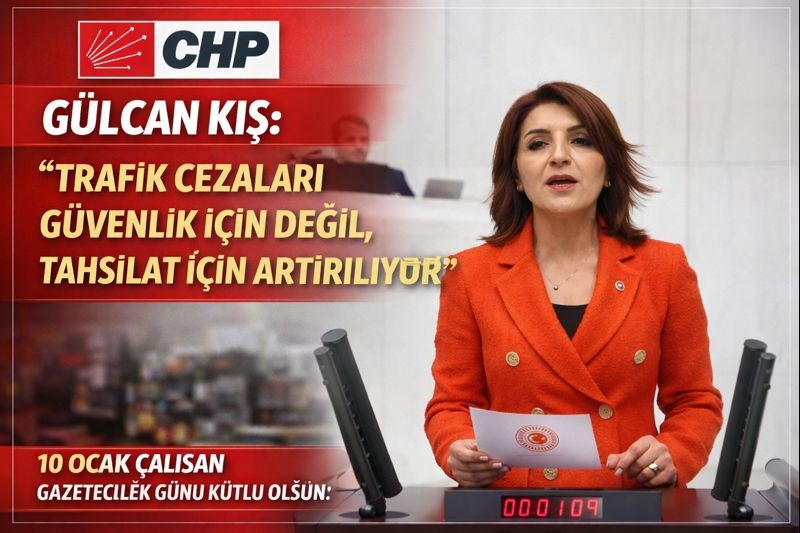 gülcan kış, chp, trafik cezaları, tbmm