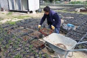 img 20260326 wa0034(1)