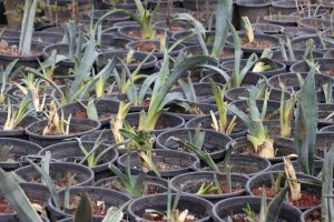 img 20260326 wa0035(1)