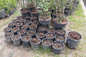 img 20260326 wa0037(1)