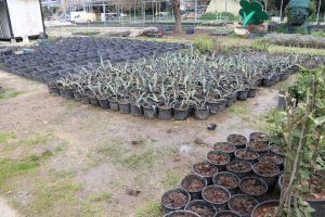 img 20260326 wa0038(1)