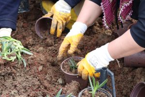 img 20260326 wa0039(1)