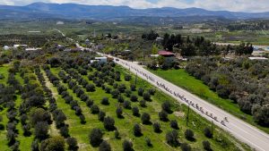 8.tour of mersİn’İn gÜlnar etabi tamamlandi (7)