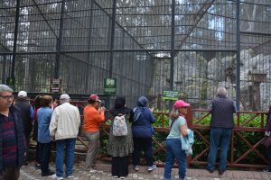 bÜyÜkŞehİr emeklİ evlerİ ayricalikli hİzmetlerİne devam edİyor (2)