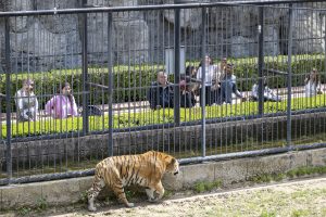 mersİn bÜyÜkŞehİr, emeklİlerİ doĞayla buluŞturuyor (5)