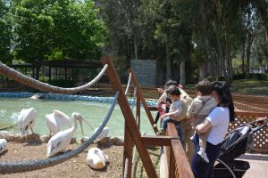 mersİn bÜyÜkŞehİr İle ‘23 nİsan’ bİr baŞka gÜzel (6)