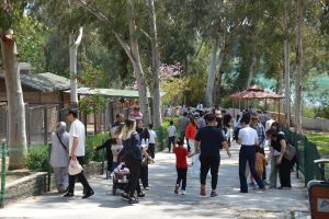 mersİn bÜyÜkŞehİr İle ‘23 nİsan’ bİr baŞka gÜzel (8)