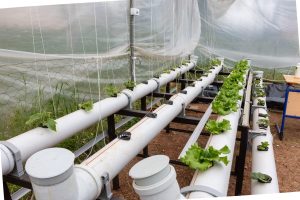 yenişehir’den eğitime ‘yeşil’ destek (10)