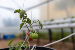 yenişehir’den eğitime ‘yeşil’ destek (3)